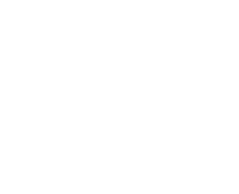 Teresa Camí